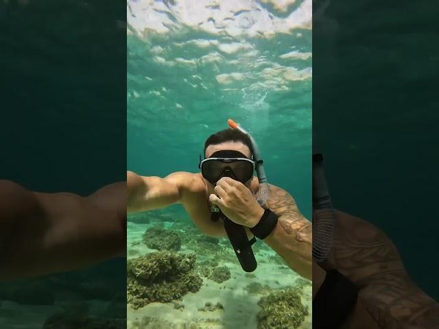 Forget the snorkel this year #snorkeling #beach #ocean #freediving #underwater