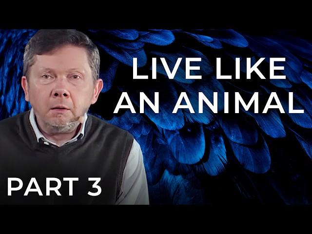 How to Stop Worrying About Things That Never Happen | Eckhart Tolle