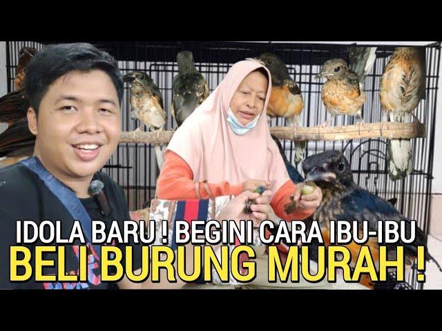 KIOS SIGIT VS IBU-IBU BIKIN BAPER BELI BURUNG MURAH SAMPAI TERHARU DI PASAR BURUNG PRAMUKA HARI INI