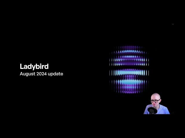 Ladybird browser update (August 2024)