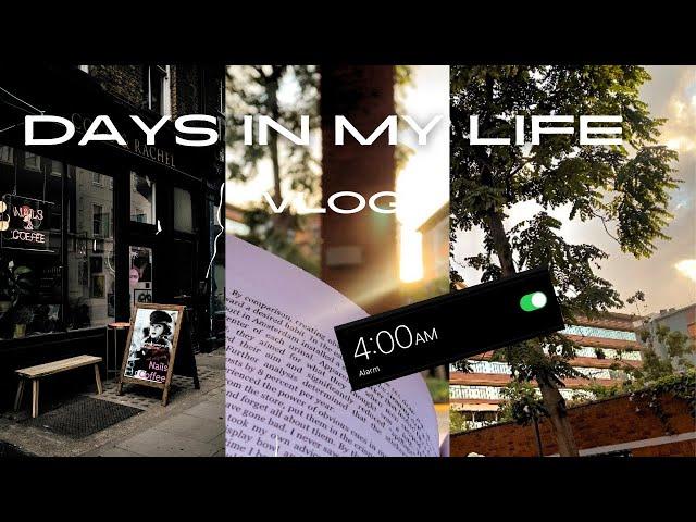 MUSLIMAH VLOG| productive days in my life|studying |#Allah #islamic #vlog