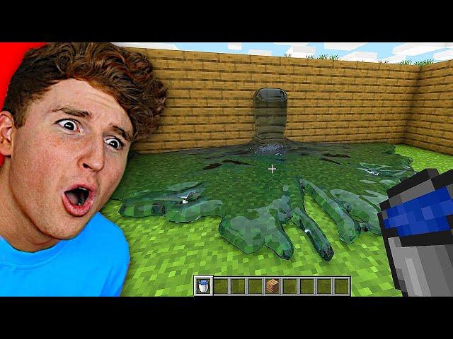 Minecraft But It's EXTREMELY Realistic..