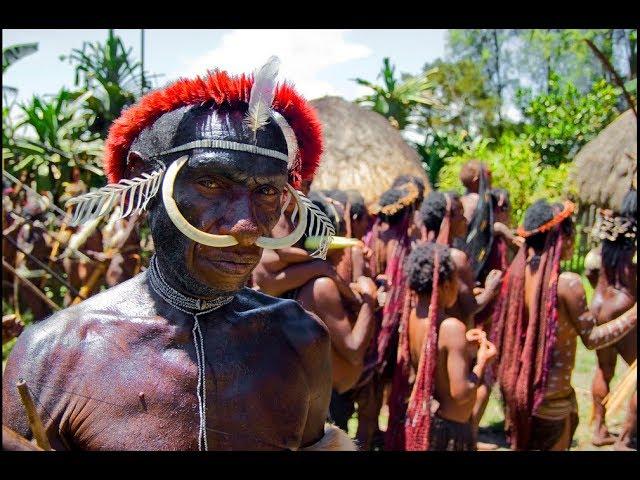 The Natives Of Indonesia (Аборигены Индонезии)