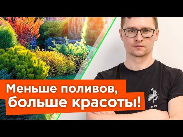 ЭТИ КУСТАРНИКИ ОБОЖАЮТ ЖАРУ! Неприхотливые и засухоустойчивые кустарники для солнечной стороны сада