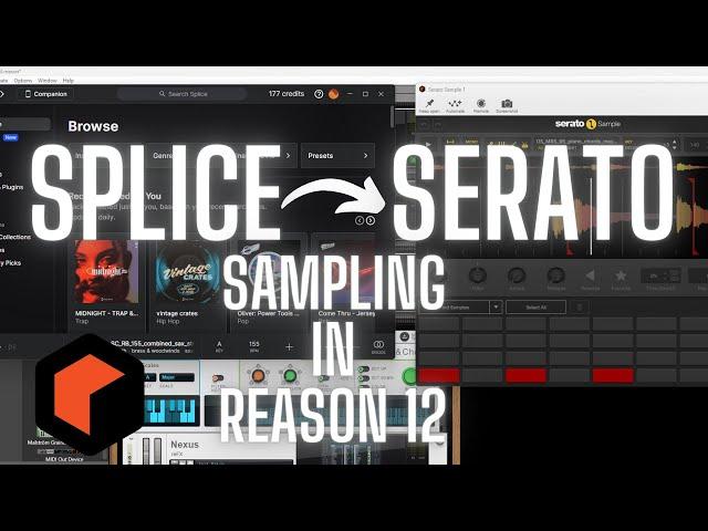 Sampling from Splice into Serato Sample in Reason 12