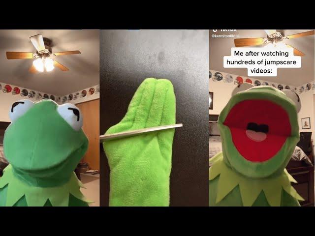 Funniest Kermit on TikTok Videos Compilation, Best kermitontiktok 2023