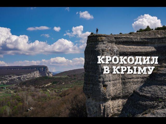 Крокодил в Крыму.