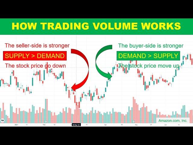 How Trading Volume Works? What You Can Learn From Volume Profile Indicator FREE