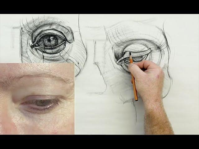 ANATOMY FOR ARTISTS: Eye Anatomy