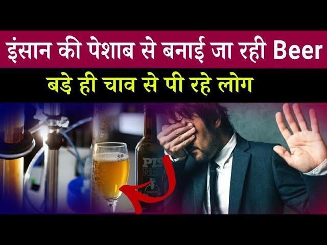 Human Urine Beer  beer made from urine | newbrew beer at singapore | Latest Breaking news in hindi