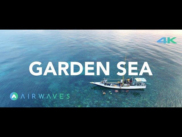 GARDEN SEA - BAWEAN ISLAND, INDONESIA