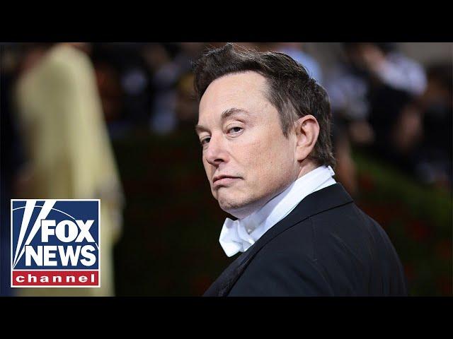 Liberal actress claims Elon Musk's Twitter is now a 'turf war'