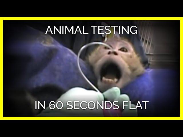 Animal Testing in 60 Seconds Flat