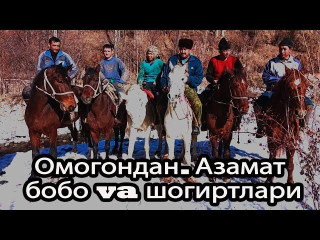 Ko'pkari Омогондан. Азамат бобони. Захарчаси horse makeover  equsterian | horseshow alochi.uz