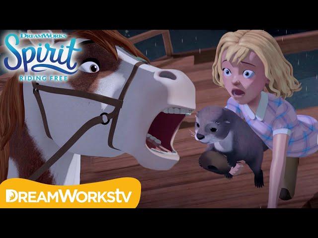 Saving Abigail | SPIRIT RIDING FREE | Netflix