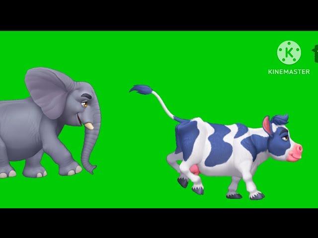 animal running competition green screen video animal green screen stamped#cartoon #animals