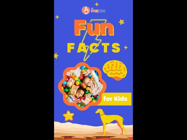 Fantastic Fun Facts for Kids | STEM Learning for Kids