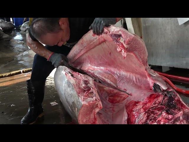 Watch This Expert Slice a Massive 350 kg Bluefin Tuna to Perfection!