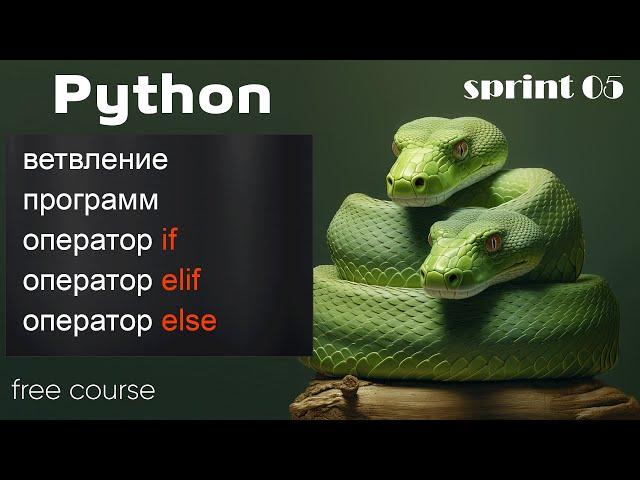 Ветвление в Python. Операторы if, elif, else - на примерах