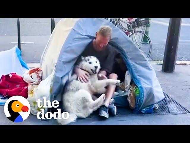 Husky Becomes Obsessed With Homeless Man And Helps Change His Life Forever | The Dodo