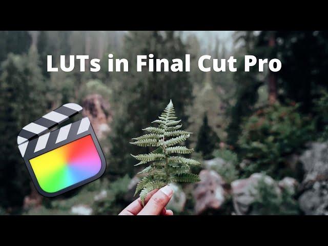 How to do color grading using LUTs in Final Cut Pro | Color Grading in Final Cut Pro