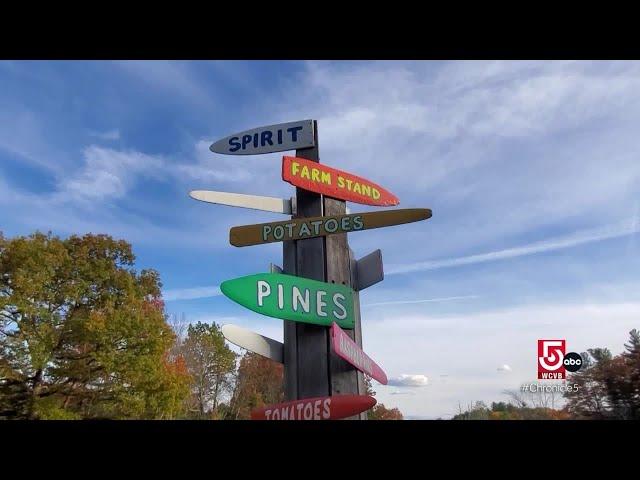 Creativity and community thrive outdoors at Fairyland Pond, DeCordova Sculpture Park and Old Frog...