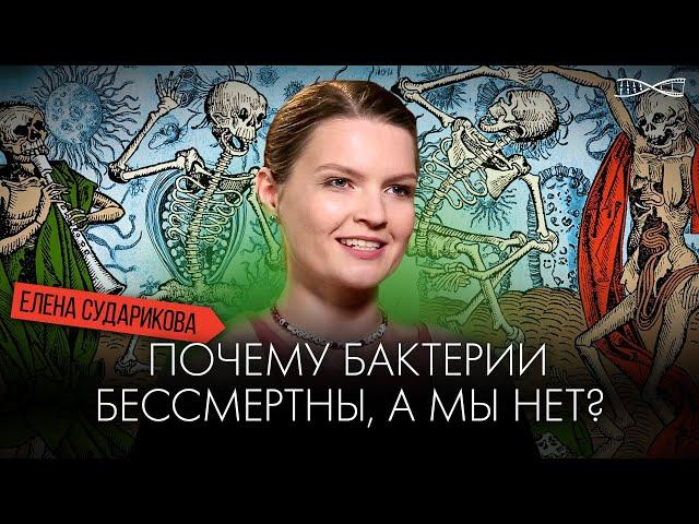 Почему бактерии бессмертны, а мы нет? Лекция антрополога Елены Судариковой