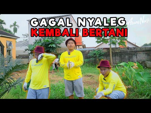 GAGAL NYALEG !!! ABANG NARJI KEMBALI BERTANI || PETANI MILENIAL IS BACK