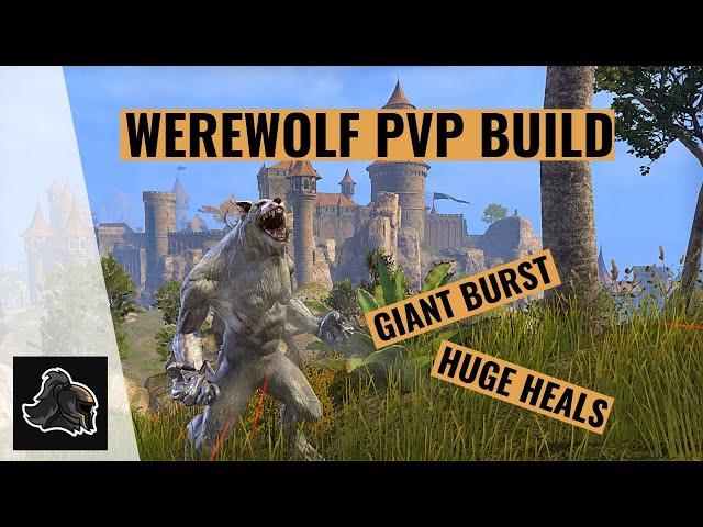 Elder Scrolls Online Werewolf PvP Build: High Isle Update