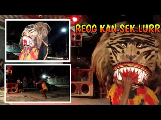 #REOG MANTAP TV beraksi #mantap slurr