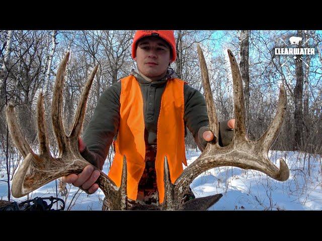 RATTLING IN A GIANT BUCK | Bowhunting the Gun Season - Saddle Hunting Whitetail