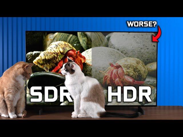 Is HDR Worse? - HDR vs SDR On Monitors & TVs