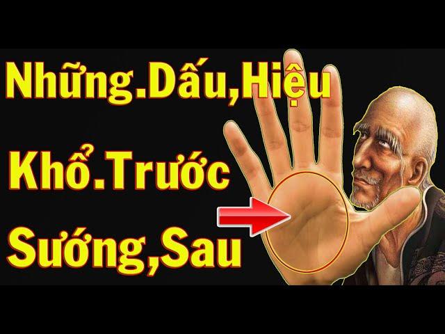 Tổng Hợp Những Đường Chỉ Tay Phú Quý Và Giàu Sang