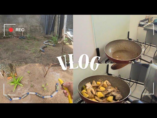 VLOG:Transforme seu jardim ‍e cozinha em tempo recorde⏳️