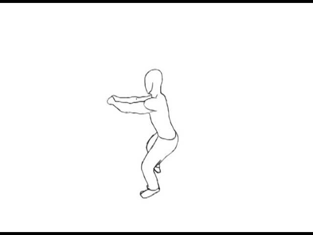 Animation Test: Squats