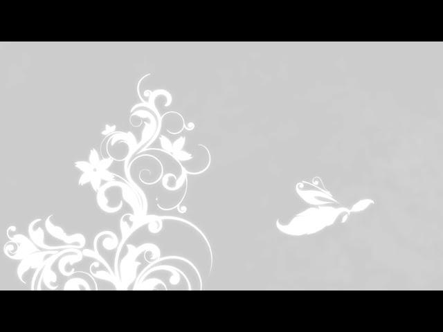 Flourish Animation | Abstract white floral background | Floral background HD | Royalty Free Footages