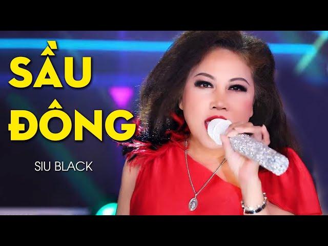 Sầu Đông - Siu Black | Nhạc Trữ Tình Hay Nhất 2022 (MV HD)