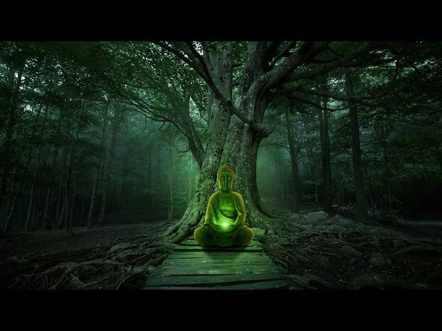 Meditation Forest | Flute Music