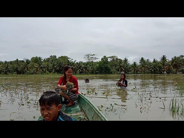 BERPETUALANG MENCARI BAHAN MAKANAN  || DI SAAT BANJIR GA ADA TUKANG SAYUR YG LEAWAT