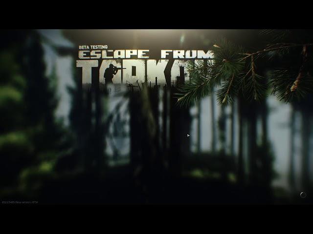 script kiddies invade escape from tarkov