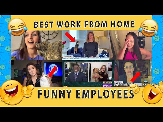 WORK FROM HOME FAILS DURING COVID-19  | CORONAVIRUS QUARANTINE | FUNNY VIDEOS | WORKING HOME VINES