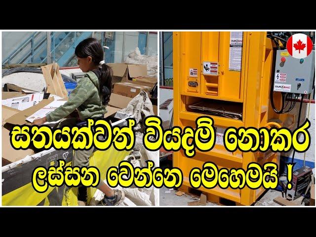 සතයක්වත් වියදම් නොකර ලස්සන වෙන විදිහ | Canada Sinhala Vlogs | සිංහල | @SehaVlogs