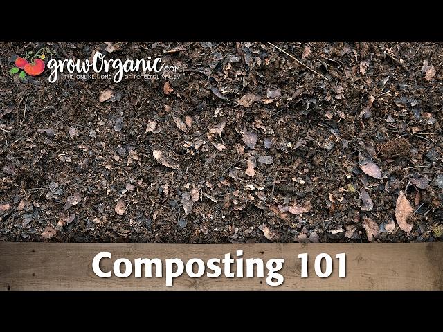 Composting 101 -- Making Compost in Composting Bins and Compost Piles