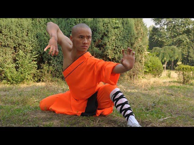The Power of Shaolin Kung-Fu Wushu ! Master Song