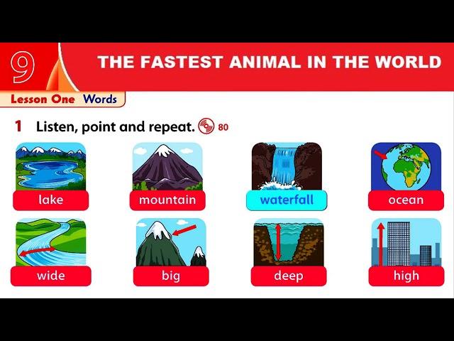 UNIT 9  THE FASTEST ANIMAL IN THE WORLD   Family and friends 3   second edition, online video cutter