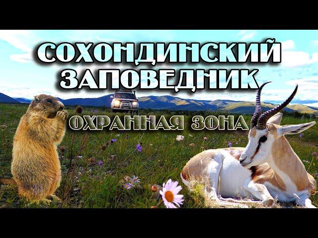 Сохондинский заповедник. Охранная зона. Интересные места Забайкалья