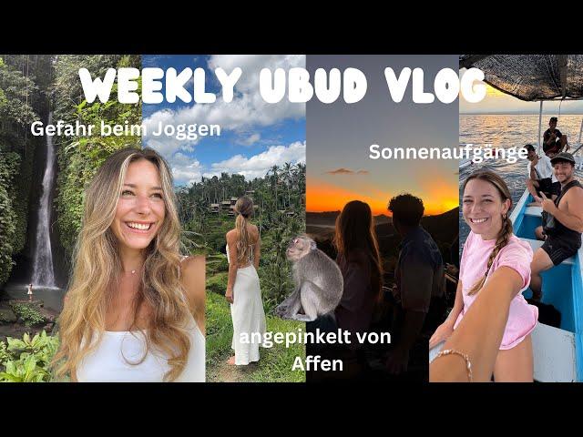 Peeed on by a monkey, dog attack & 2 am volcano tour | Ubud Adventure Traven Diary Part 8 