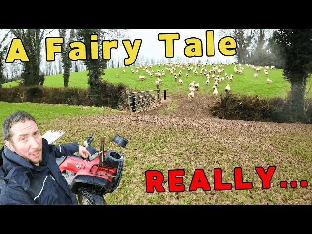 Farming Sheep: Fencing, Fails & Fairy Tales