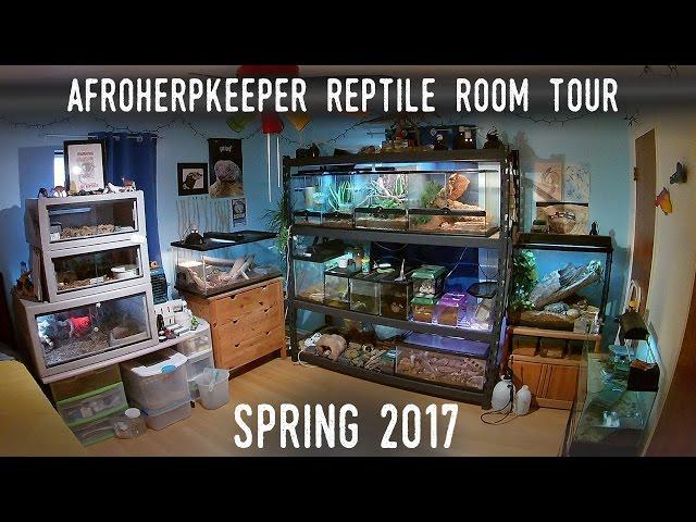 Reptile Room Tour Spring 2017 | FINALLY Back With 24 SPECIES!