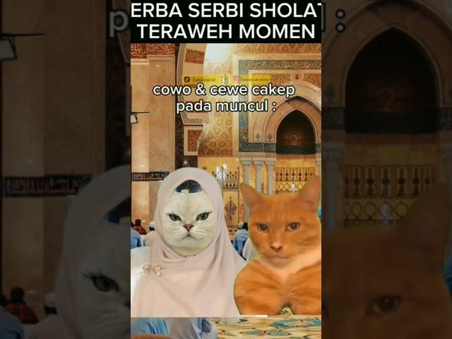 serba serbi sholat tarawih #shorts #meme #gabut #tarawihcepat #tarawih #tarawih2025